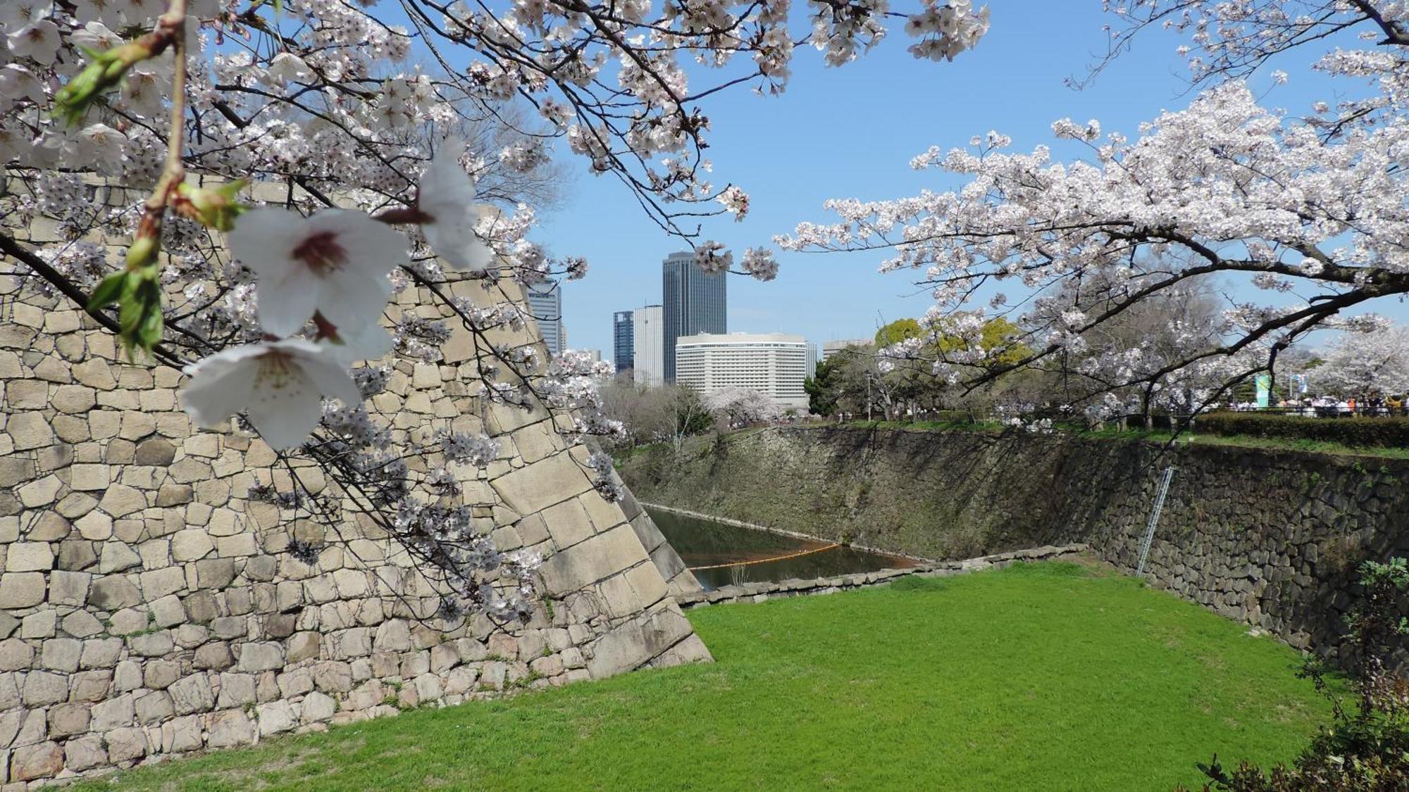 Hotel New Otani Осака Екстер'єр фото Sakura at the castle